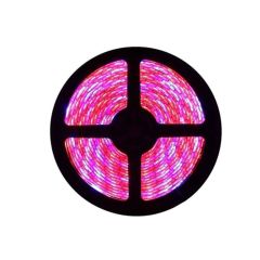 Plant Growth RED:BLUE /660nm:460nm LED Grow Light SMD5050 30LEDs, 5m/roll
