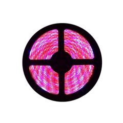 Plant Growth RED:BLUE /660nm:460nm LED Grow Light SMD3528 240LEDs, 5m/roll