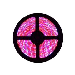 Plant Growth RED:BLUE /660nm:460nm LED Grow Light SMD5050 60LEDs, 5M/roll