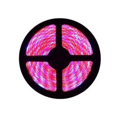 Plant Growth RED:BLUE /660nm:460nm LED Grow Light SMD2835 60LEDs, 5m/roll