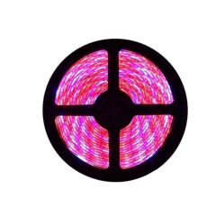 Plant Growth RED:BLUE /660nm:460nm LED Grow Light SMD2835 120LEDs, 5m/roll