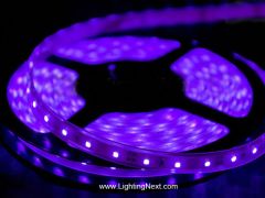 420-430nm Flexible Ultraviolet LED Strip Light, 12V DC, 300 SMD5050 LEDs/roll, 5m/roll