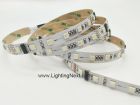 60/m 4-in-1 RGBW DMX 512 LED Strip Light, 5m, 24V