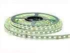 5 in 1 5050 RGB+CCT LED Strip, DC12V/24V, 60LEDs/m, 5M