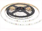 SMD 3528 LED Strip, DC12V/24V, 60LEDS/M. 5M